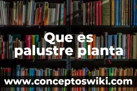 Que es una planta omivoro o carnivoro 8 Que es palustre planta