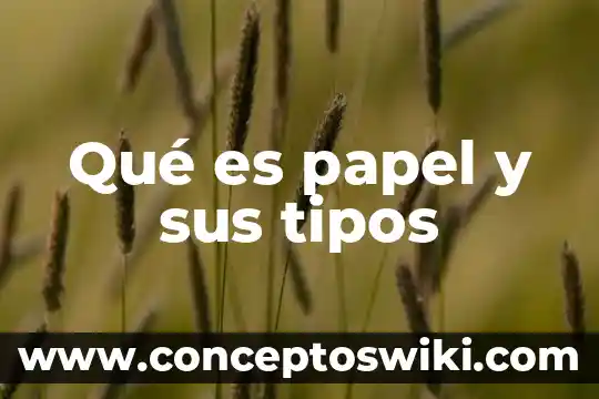 Que es computadora de viaje 4 Qué es papel y sus tipos