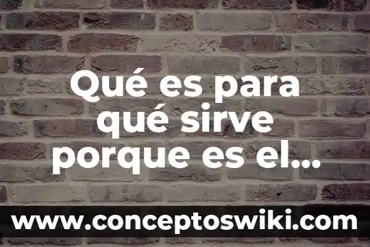 Que es quimica y porque se utiliza 7 Qué es para qué sirve porque es el apéndice