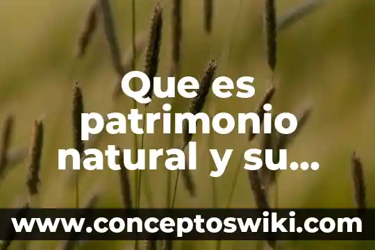 Que es posicionamiento por un autor 8 Que es patrimonio natural y su clasificacion con autor