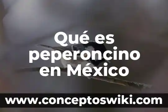 Qué es el número de guía de correos de México 4 Qué es peperoncino en México
