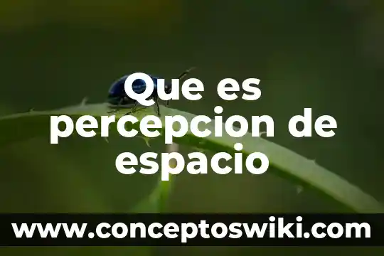 Que es espacio vacio en arte 4 Que es percepcion de espacio
