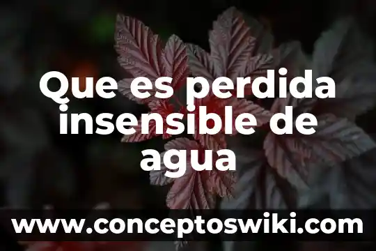 Que es la pérdida de inserción en redes 7 Que es perdida insensible de agua