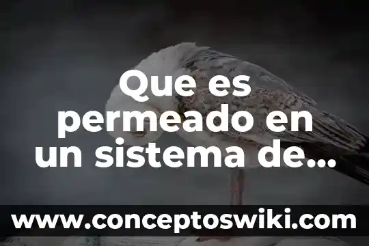Ultrafiltración en el agua que es 7 Que es permeado en un sistema de agua