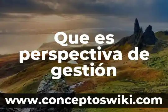 Qué es la perspectiva en tecnología 3 Que es perspectiva de gestión