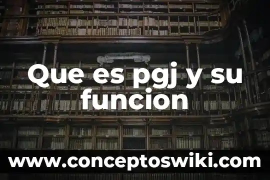 Que es principio en materia penal 7 Que es pgj y su funcion