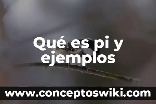 Que es un litro ejemplos 8 Qué es pi y ejemplos