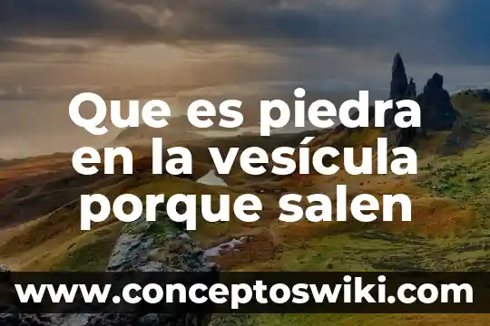 Que es el servicio social y porque es importante 3 Que es piedra en la vesícula porque salen