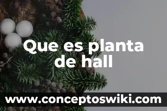 Gerente de planta que es 7 Que es planta de hall