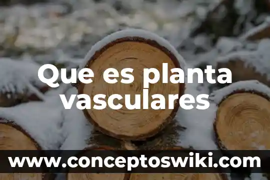 Que es tipados 7 Que es planta vasculares