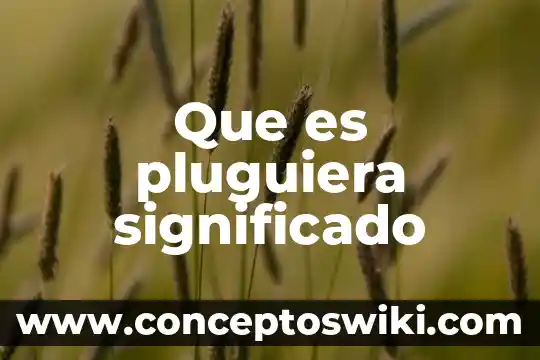 Significado del literal y figurados que es el significado 3 Que es pluguiera significado