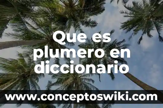 Que es arrollo significado diccionario 6 Que es plumero en diccionario