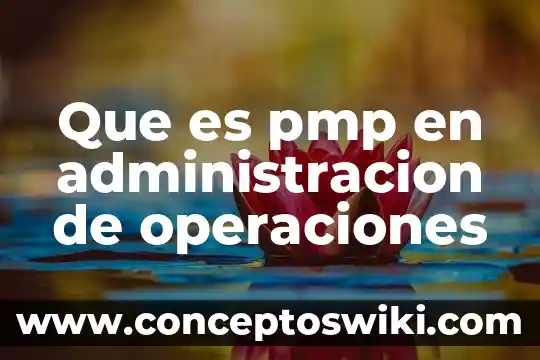 Registro de operaciones del periodo que es 4 Que es pmp en administracion de operaciones