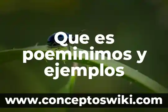 Qué es pi y ejemplos 5 Que es poeminimos y ejemplos