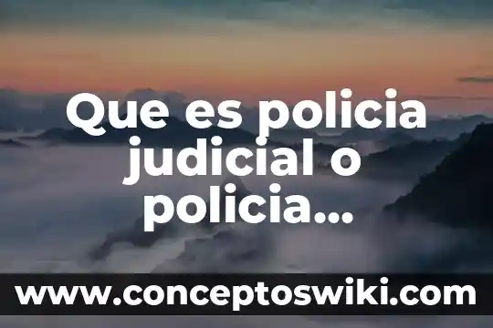 Para que es el silent lib en minecraft mod 3 Que es policia judicial o policia investigador