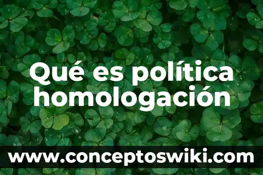Que es un política 5 Qué es política homologación