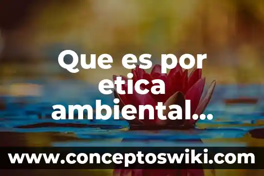Que es un prgrama se seguimiento ambiental 3 Que es por etica ambiental yahoo