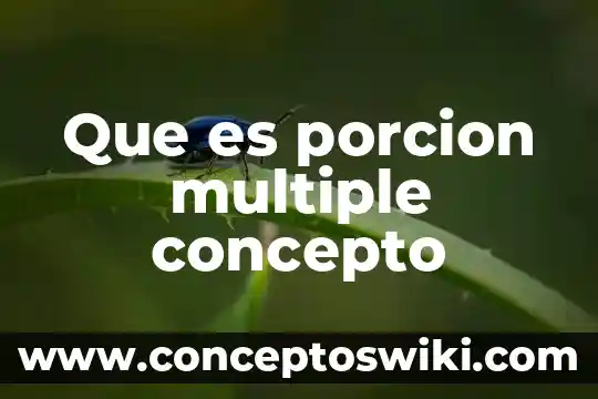 Que es el concepto de rito 4 Que es porcion multiple concepto