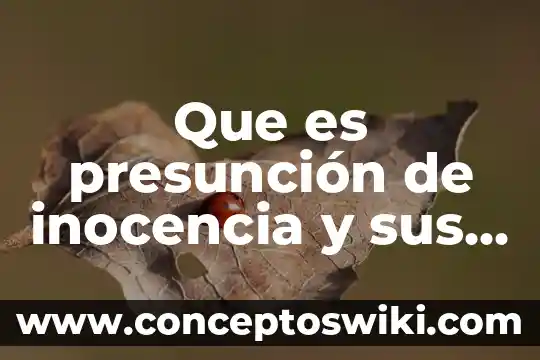 Elementos de la parábola que es 7 Que es presunción de inocencia y sus elementos