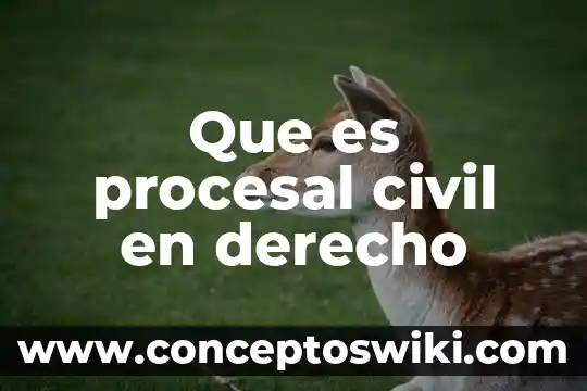 Que es duplo en derecho 8 Que es procesal civil en derecho
