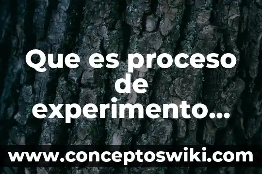 Que es proceso de información 4 Que es proceso de experimento un ejemplo