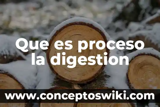 Qué es el proceso de marchitación 8 Que es proceso la digestion