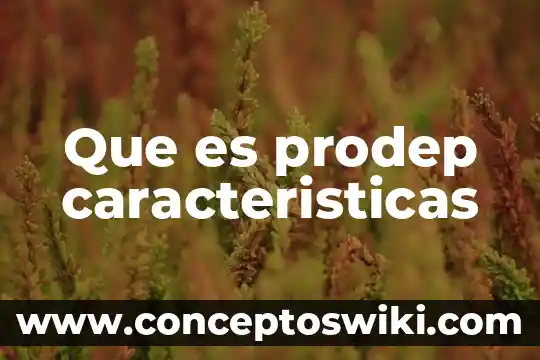 Qué es un catálogo características tipos 6 Que es prodep caracteristicas