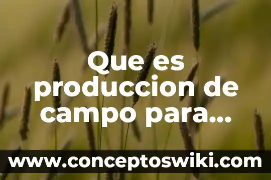 Qué es la producción animal en Venezuela 8 Que es produccion de campo para cine y television