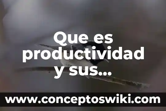 Qué es reticular significado 8 Que es productividad y sus caracteristicas generales