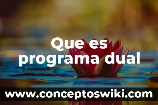 Para que es el programa byte technologies llc 8 Que es programa dual