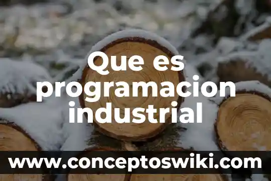 Que es empaque industrial 7 Que es programacion industrial