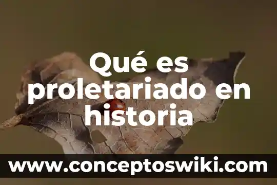 Que es la world wide web y su historia 8 Qué es proletariado en historia
