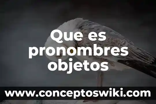 A que es acaecer 4 Que es pronombres objetos