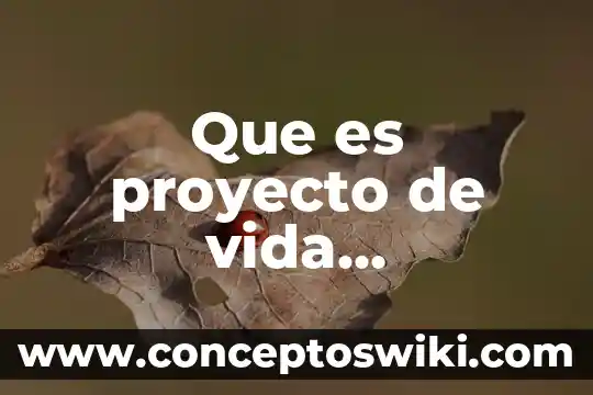 Que es estilo de vida sin residuos 8 Que es proyecto de vida economico