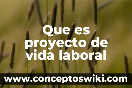 Que es algo no imputable en derecho laboral 8 Que es proyecto de vida laboral