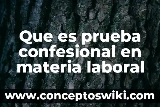 Que es la pastilla que trae la prueba de embarazo 3 Que es prueba confesional en materia laboral