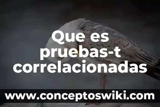 Que es una emblema informatic 3 Que es pruebas-t correlacionadas