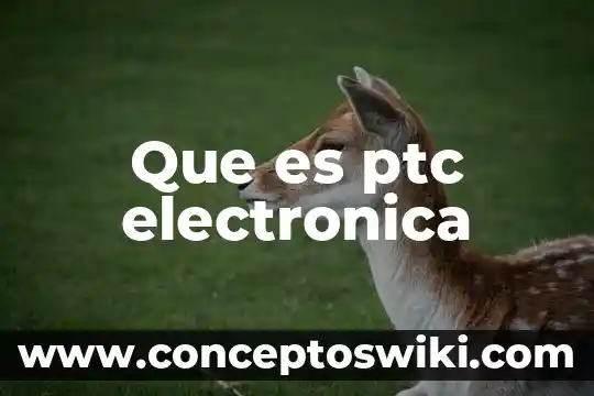 Que es la firma electronica avazada 6 Que es ptc electronica