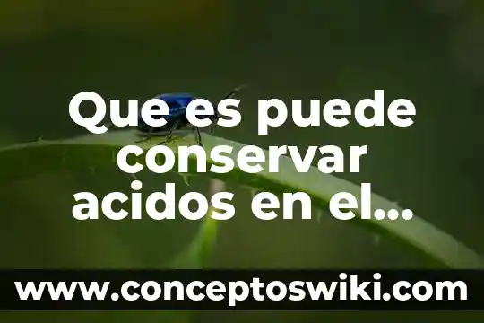 Qué es ácidos grasos en medicamentos 8 Que es puede conservar acidos en el estomago