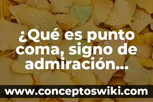 Qué es un código y signo 8 ¿Qué es punto coma, signo de admiración, signo de interrogación?
