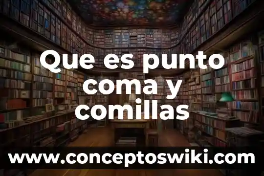 Qué es la representación de coma flotante 6 Que es punto coma y comillas