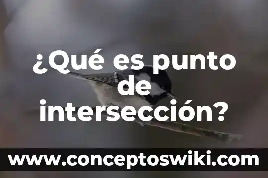 Que es un punto concavo 3 ¿Qué es punto de intersección?