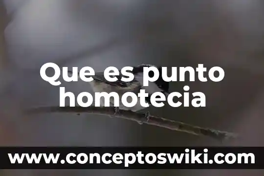 Que es un punto de cruz 7 Que es punto homotecia