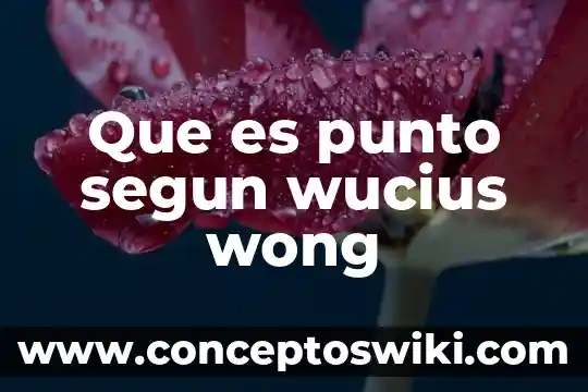 Que es una bandera con un punto toja 7 Que es punto segun wucius wong