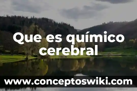 Qué es un químico carcinógeno 4 Que es químico cerebral