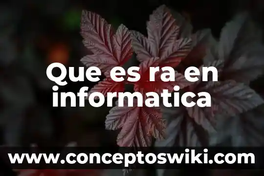 Que es aplicación ra 3 Que es ra en informatica
