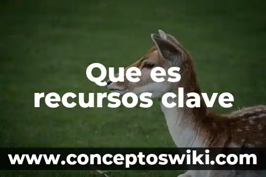 Que es la limitaciones de recursos en un proyecto 3 Que es recursos clave