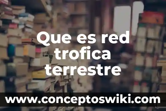 Que es una red de presion 3 Que es red trofica terrestre