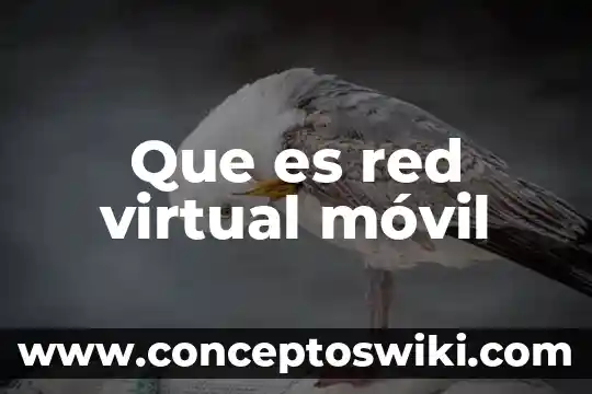 Que es y para que sirve una biblioteca virtual 6 Que es red virtual móvil