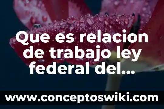 Que es la ley federal de correduria publica 5 Que es relacion de trabajo ley federal del trabajo
